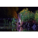 Oase ProfiLux Garden LED RGB